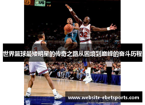 世界篮球最矮明星的传奇之路从困境到巅峰的奋斗历程
