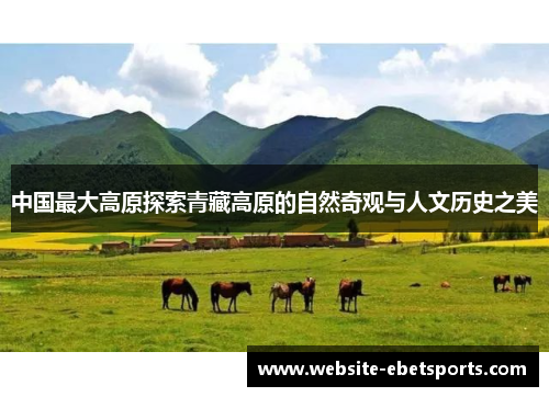 中国最大高原探索青藏高原的自然奇观与人文历史之美